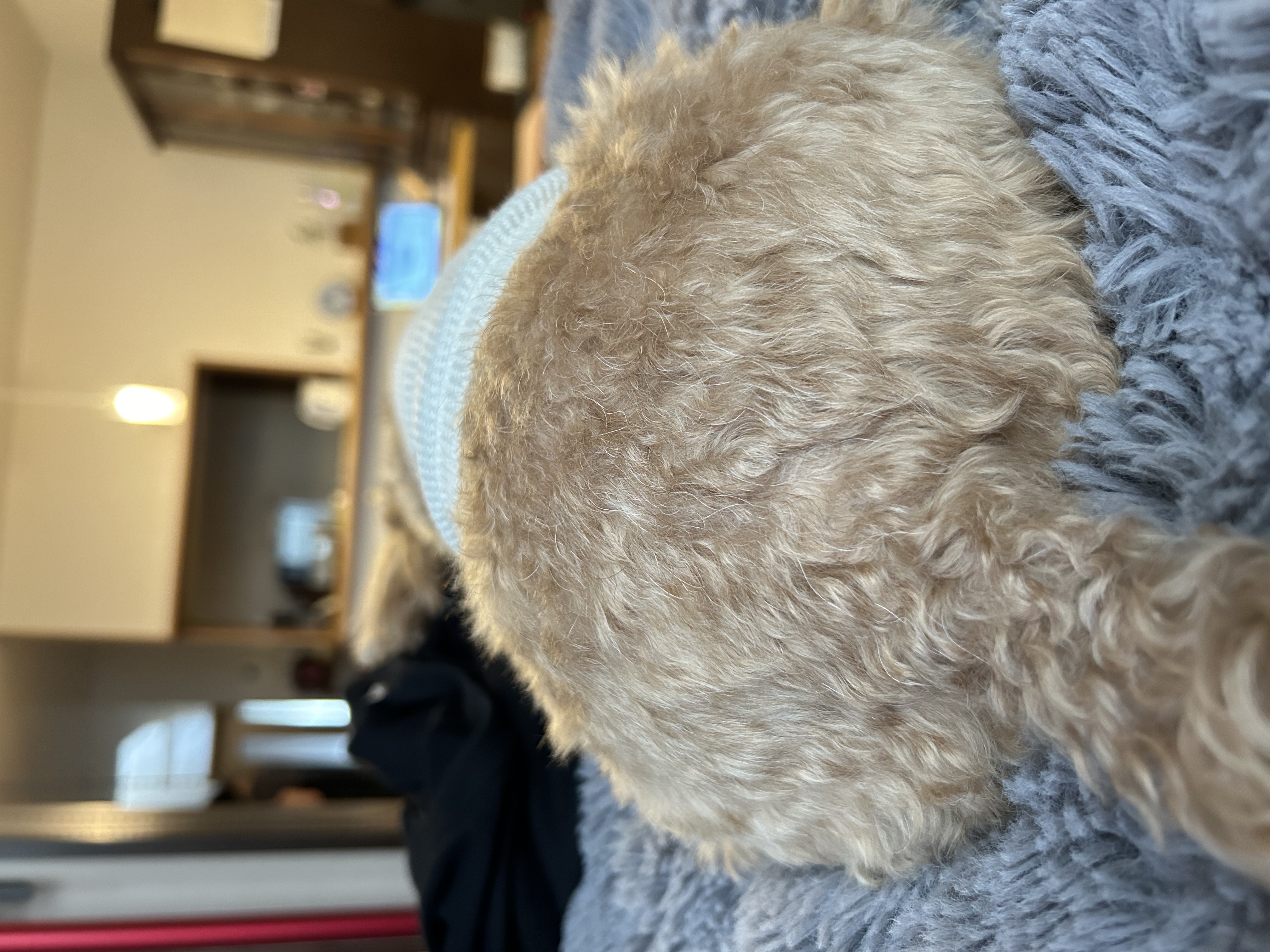めっちゃ青い喫茶店