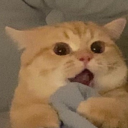 ねむねむにゃんこ